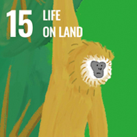 Animal SDGs