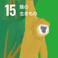 Animal SDGs