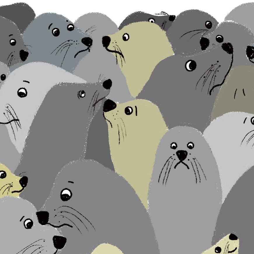 Animal SDGs