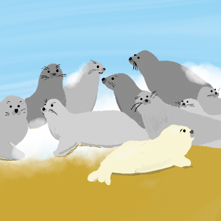 Animal SDGs