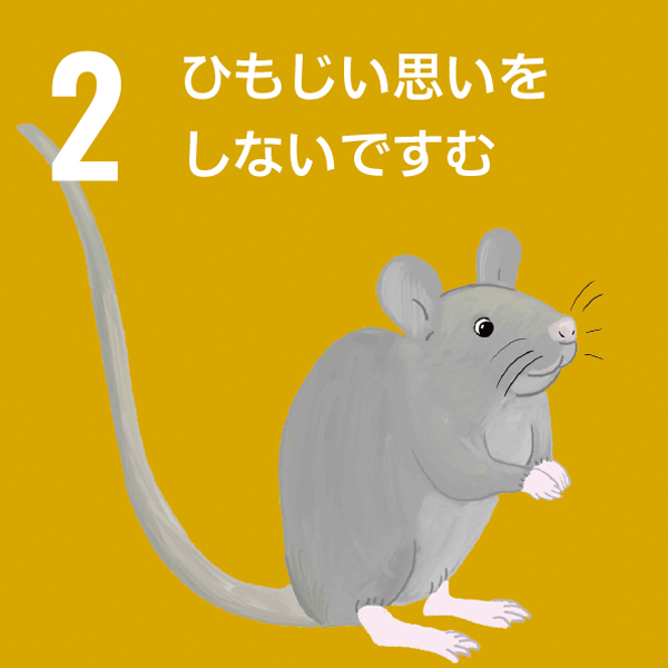 Animal SDGs