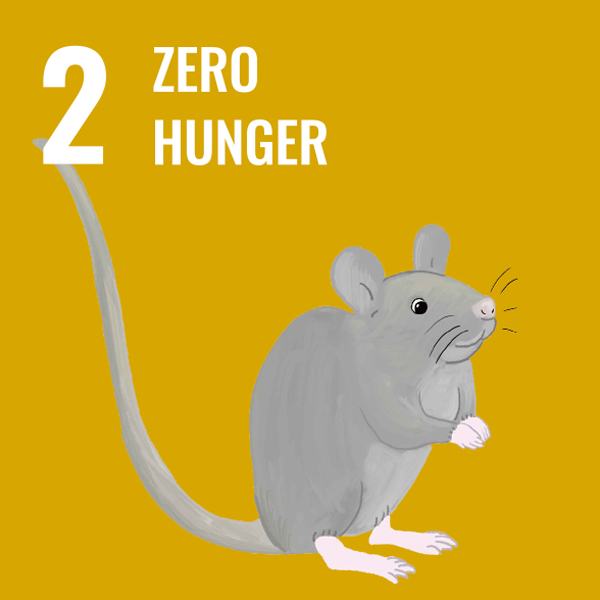 Animal SDGs