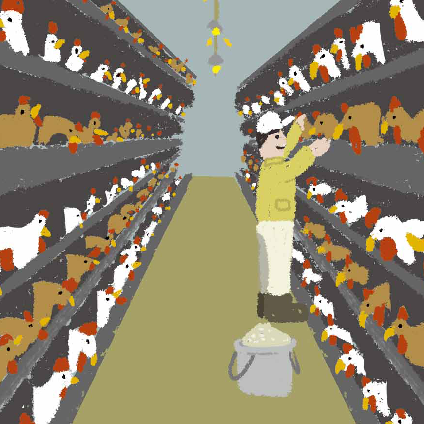 Animal SDGs