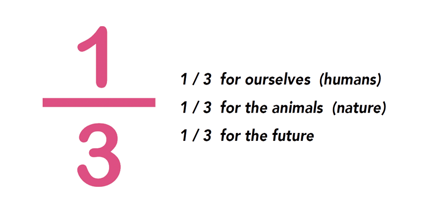 1／3
